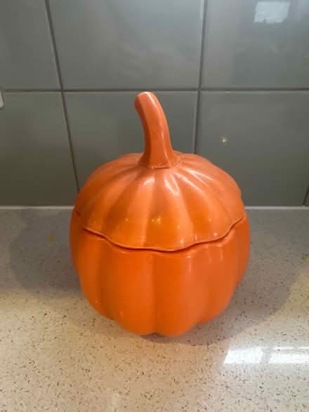 Photo of free Pumpkin pot (Coalpit Heath BS36) #1