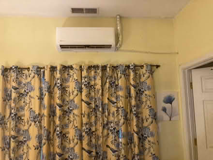 Photo of free Yellow Bird curtains (Set of 4 ) (Scaggsville) #1