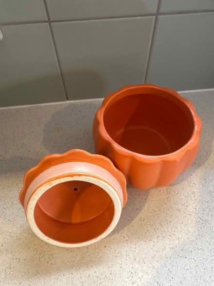 Photo of free Pumpkin pot (Coalpit Heath BS36) #2
