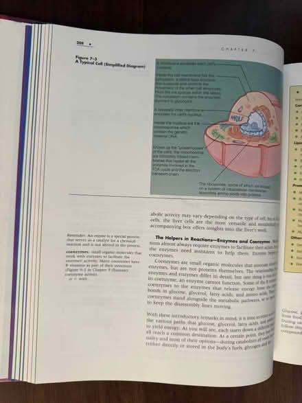Photo of free Nutrition Textbook (Near Davis Square, Somerville) #2