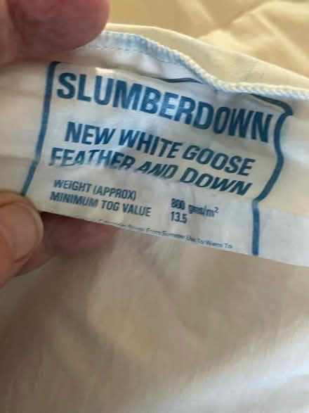 Photo of free Feather king size winter duvet (Sale M33) #2