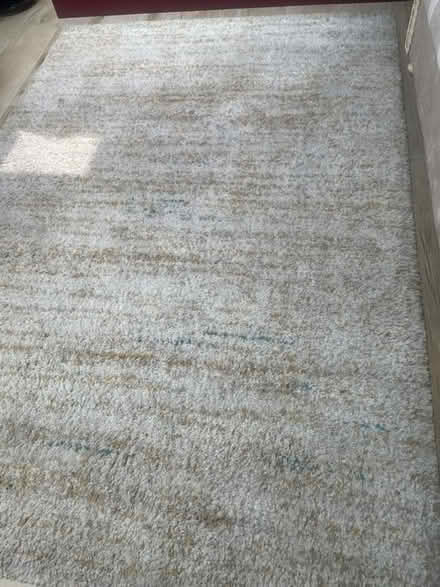 Photo of free rug (Grove Park Chiswick W4) #1