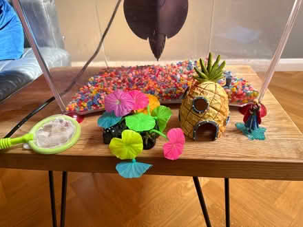 Photo of free Fish tank and accessories (St Albans AL4) #2