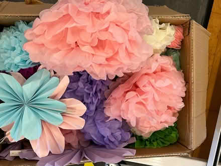 Photo of free Pastel Paper Pom Pom decorations (Walker NE6) #2