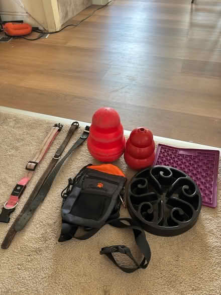 Photo of free Items for a medium- large sized dog (Hx61ad) #1