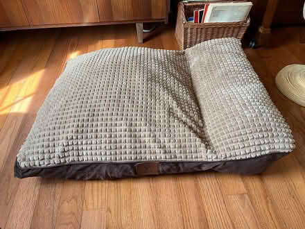 Photo of free plush bed for medium-large dog (Derwood, MD) #1