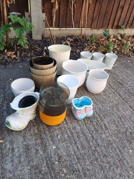 Photo of free Selection of plant pots (Bray SL6) #1