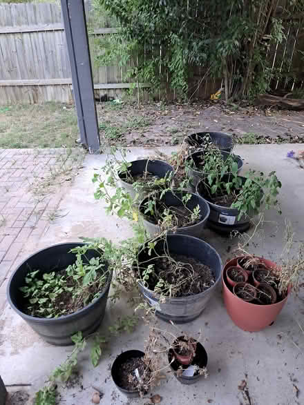 Photo of free Assorted large planters (Pflugerville, TX, USA) #1