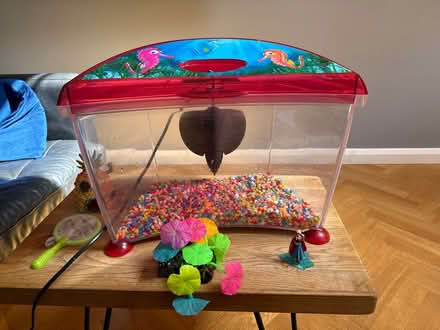 Photo of free Fish tank and accessories (St Albans AL4) #1