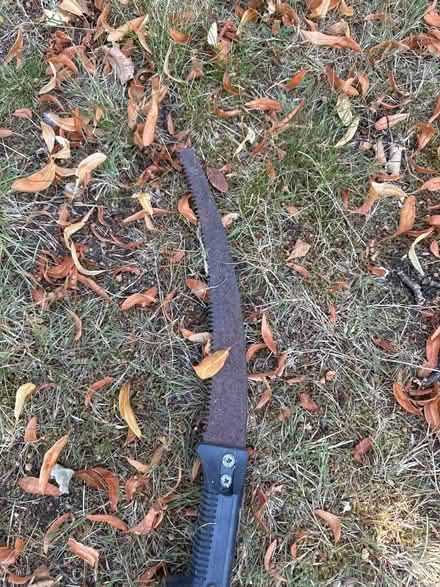 Photo of free Long saw slightly rusted (Cheam SM2) #2