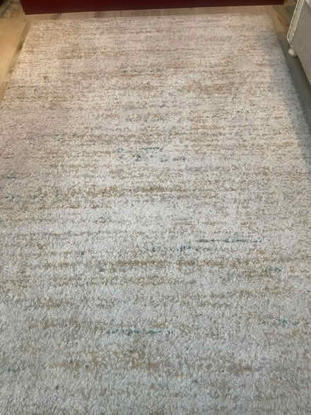 Photo of free rug (Grove Park Chiswick W4) #1