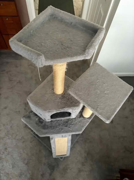 Photo of free Cat tree (Fremont Ave, Sunnyvale) #1