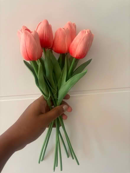 Photo of free Artificial tulips (Newtown CH1) #1