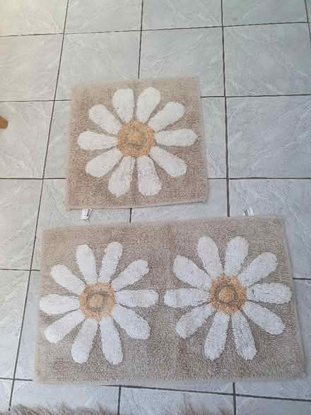 Photo of free Shower and bath mat (Elstow MK42) #1