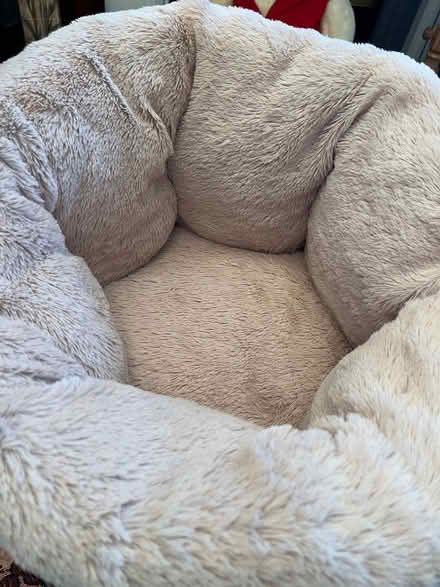 Photo of free Plush Pet Bed - cup bed (Redruth) #1