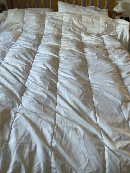 Photo of free Feather king size winter duvet (Sale M33) #1