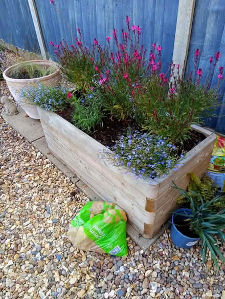 Photo of free Large wooden trough with soil (Heacham PE31) #2
