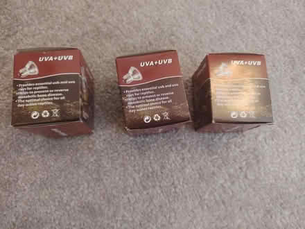 Photo of free Reptile bulbs (Pensby CH61) #3