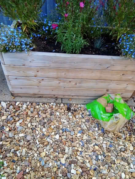 Photo of free Large wooden trough with soil (Heacham PE31) #1