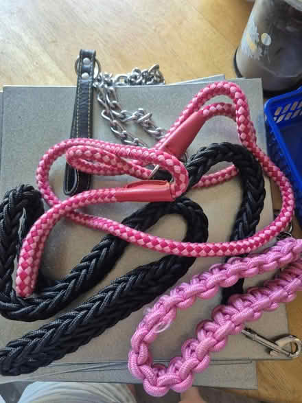 Photo of free Assortment of dog leads (Chichester) #1