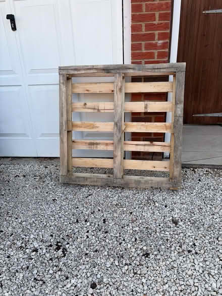 Photo of free Pallet (Rooksdown RG24) #1