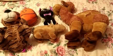 Photo of free Set of 5 Cuddly Toys (Orpington) #1