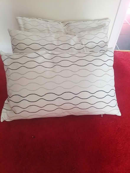 Photo of free Three feather cushions (Crays Hill) #1