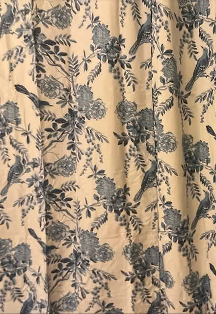 Photo of free White/Blue Bird curtains - 2 panels (Scaggsville) #1