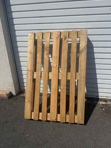 Photo of free Pallet (Kingswood Bristol BS15) #2