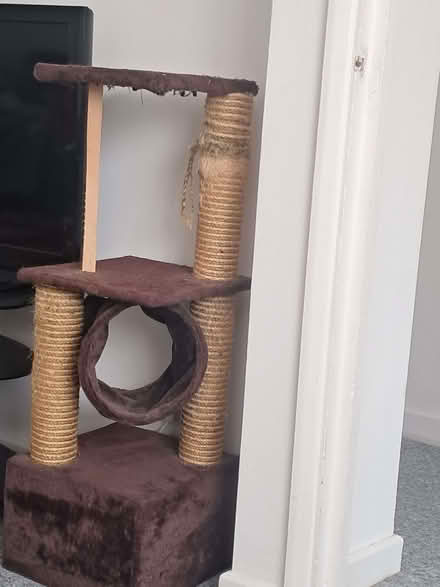 Photo of free Cat Scratching Post (St. Martin's CT1) #1