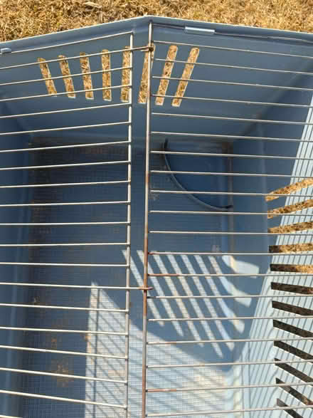 Photo of free Indoor guinea pig hutch (Bradford on Avon BA15) #3