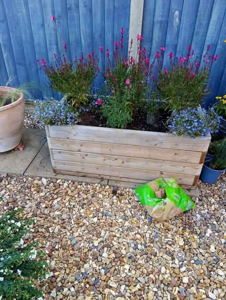 Photo of free Large wooden trough with soil (Heacham PE31) #3