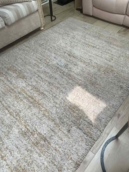 Photo of free rug (Grove Park Chiswick W4) #2