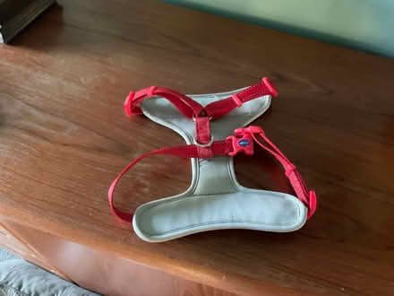 Photo of free Dog Harness (Melksham Without SN12) #1