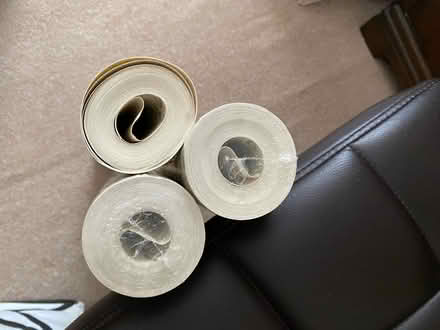 Photo of free Rolls of green wallpaper (Ashton OL6) #3