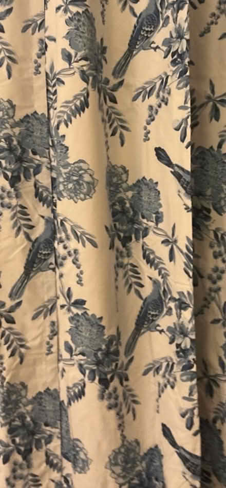 Photo of free White/Blue Bird curtains - 2 panels (Scaggsville) #2
