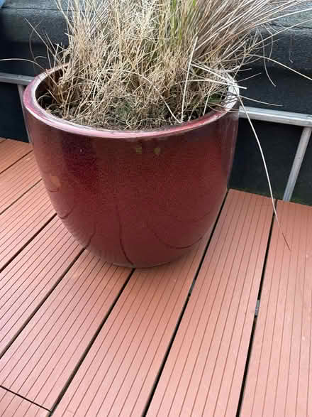 Photo of free Big plant pots (The Grange EH9) #1