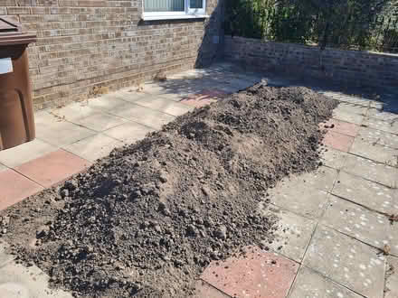 Photo of free Topsoil (Hemsby NR29) #1