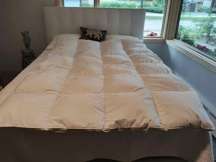 Photo of free feather bed (double) (Devonshire area in Skokie, IL) #1
