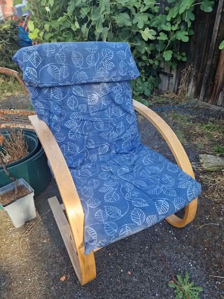 Photo of free Ikea poang chair (Bishop's Castle SY9) #1