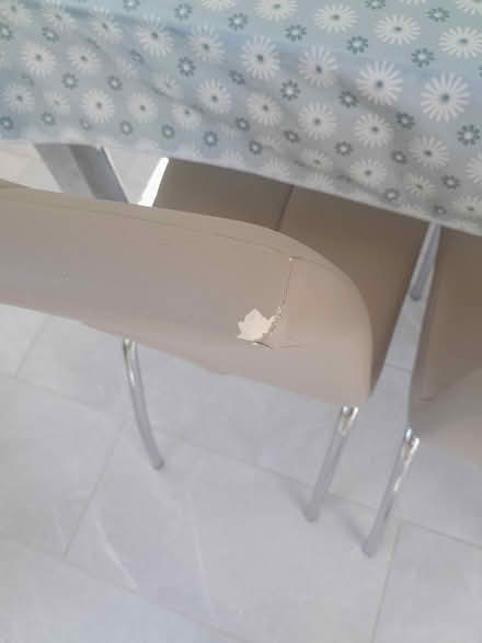 Photo of free Next Dining chairs x 4 (Hockley Heath B94) #3