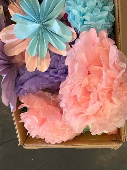 Photo of free Pastel Paper Pom Pom decorations (Walker NE6) #1
