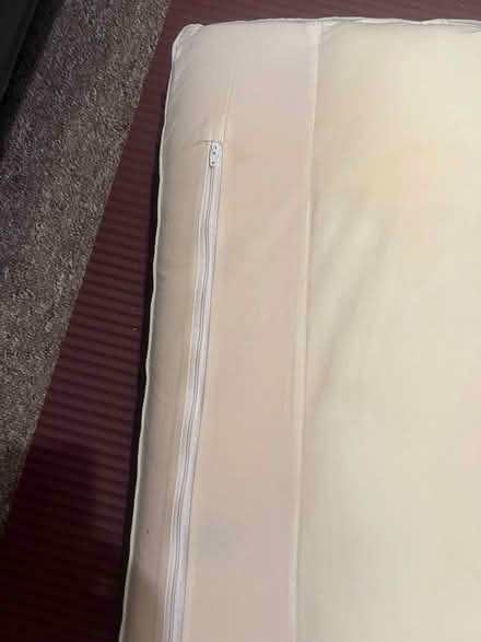 Photo of free Sealy Posturepedic Pillow (Richmond TW1) #2