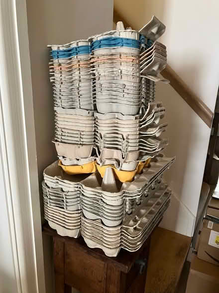 Photo of free Egg boxes (Hindhead GU26) #1