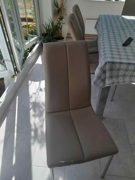Photo of free Next Dining chairs x 4 (Hockley Heath B94) #1