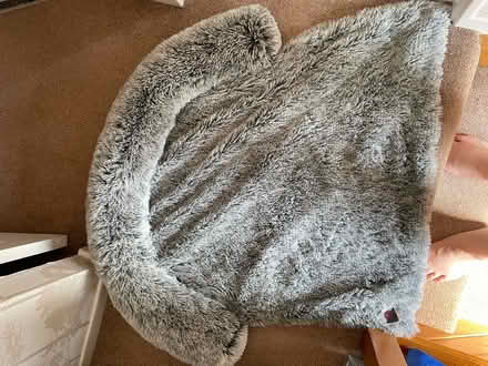 Photo of free Large dogs bed for sofa’s (Plymouth PL5) #1