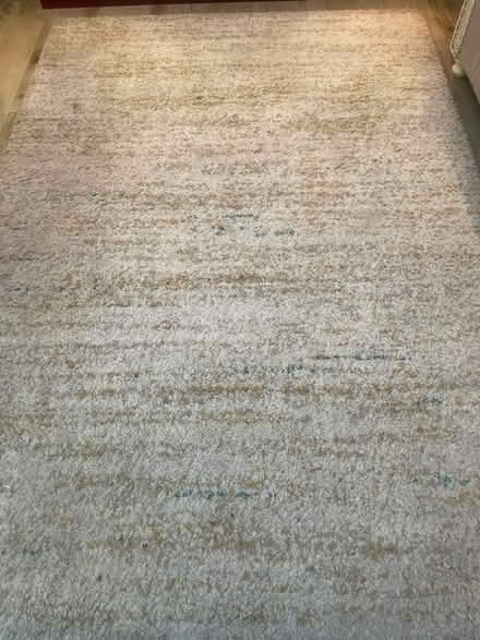 Photo of free rug (Grove Park Chiswick W4) #2