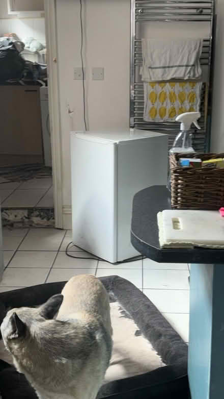 Photo of free Under counter freezer (Erdington B23) #1