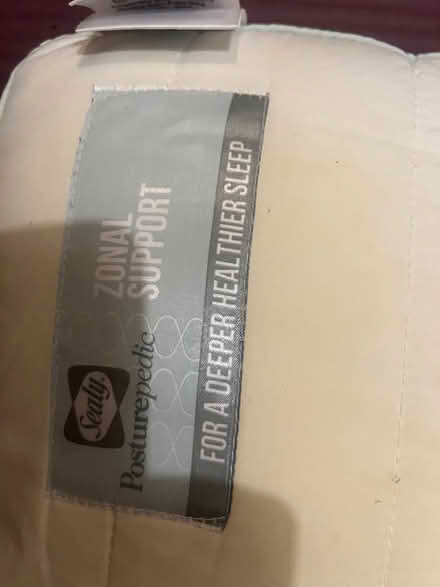 Photo of free Sealy Posturepedic Pillow (Richmond TW1) #4