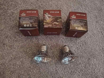 Photo of free Reptile bulbs (Pensby CH61) #4